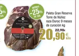 FROIZ Paleta gran reserva torre de núñez raza duroc 9 meses de curación oferta