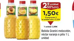 FROIZ Bebida Granini melocotón, néctar naranja o piña oferta