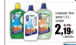 FROIZ Limpiador Tenn gama oferta
