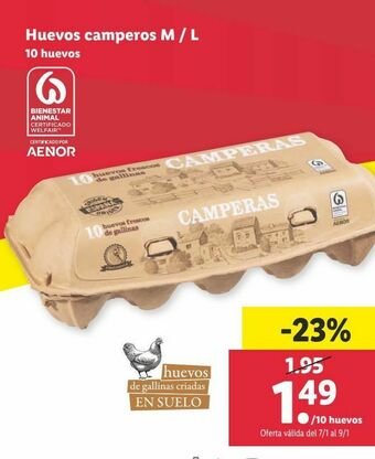 Lidl Huevos oferta