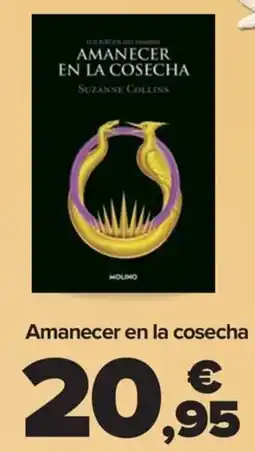 Carrefour Amanecer en la cosecha oferta