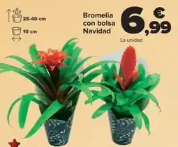 Carrefour Bromelia con bolsa Navidad oferta
