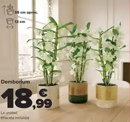 Carrefour Demborium oferta