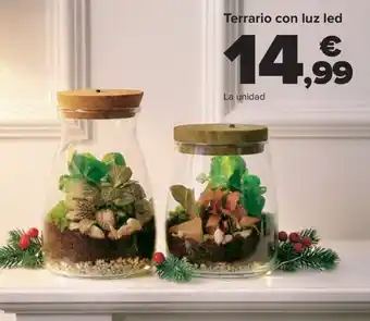 Terrario con luz led