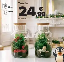 Carrefour Terrario oferta