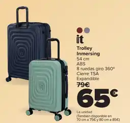 Carrefour IT Trolley Inmersing oferta