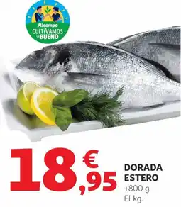 Alcampo Dorada estero oferta