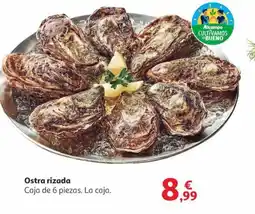 Alcampo Ostra rizada oferta
