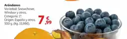 Alcampo Arándanos oferta