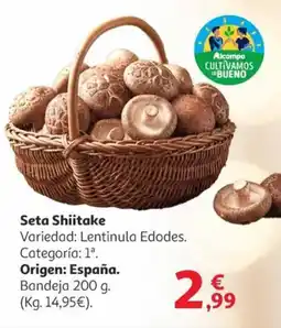 Alcampo Seta Shiitake oferta