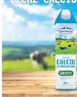 E.Leclerc Central lechera asturiana - leche calcio oferta