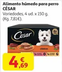 Alcampo CÉSAR Alimento húmedo para perro oferta