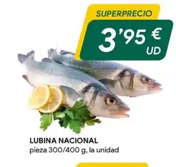 Masymas Lubina nacional oferta