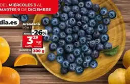 Dia Arándano oferta