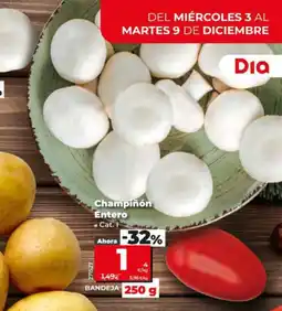 Dia Champiñón Entero oferta