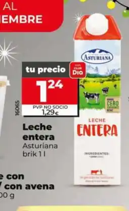 Dia ASTURIANA Leche entera oferta