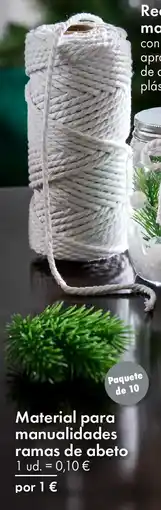 TEDi Material para manualidades ramas de abeto oferta