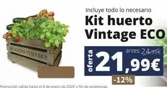 Huerto urbano vintage