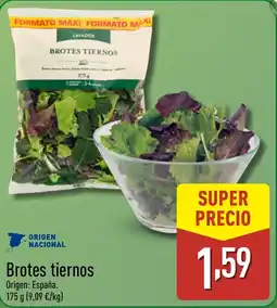 ALDI Brotes tiernos oferta