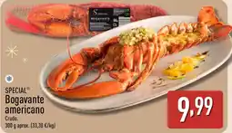 ALDI SPECIAL Bogavante americano oferta