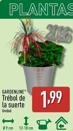 ALDI GARDENLINE Trébol de la suerte oferta