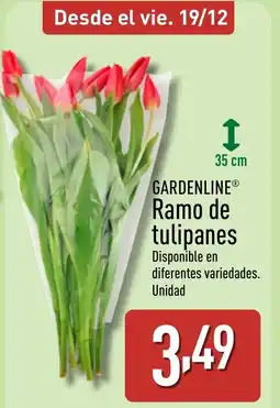 ALDI GARDENLINE Ramo de tulipanes oferta