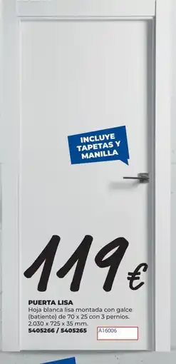 BigMat Puerta lisa oferta