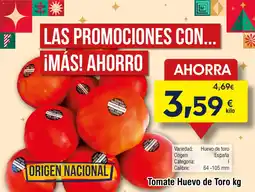 FROIZ Tomate Huevo de Toro oferta
