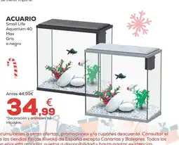 Kiwoko SMALL LIF Acuario oferta