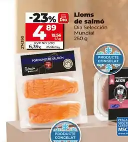 Dia DIA SELECCIÓN Lloms de salmó oferta