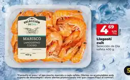 Dia SELECCIÓN DE DIA Llagostí cuit oferta