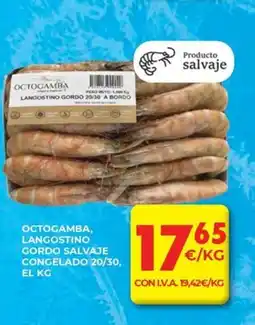 CashDiplo Octogamba, langostino gordo salvaje oferta