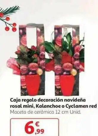 Alcampo Caja Regalo Decoración Navideña Rosal Mini Kalanchoe O Cyclamen Red oferta
