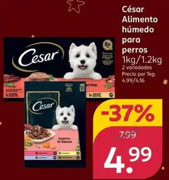 Rossmann CESAR Alimento húmedo para perros oferta