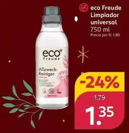 Rossmann ECO FRUEDE Limpiador universal oferta