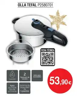 Milar TEFAL Olla p2580701 oferta