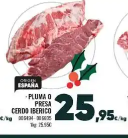Family Cash Pluma o presa cerdo iberico oferta