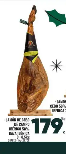 Family Cash Jamón de cebo de campo ibérico 50% raza ibérica oferta