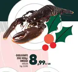 Family Cash Bogavante oferta