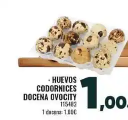 Family Cash Huevos codornices docena ovocity oferta