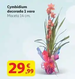 Alcampo Cymbidium decorada 1 vara oferta
