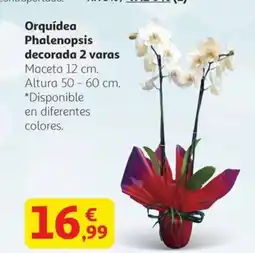 Alcampo Orquídea Phalenopsis decorada 2 varas oferta