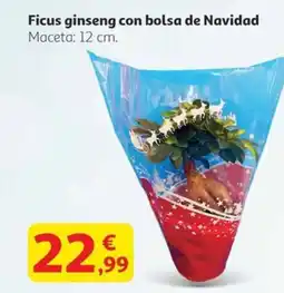 Alcampo Ficus ginseng con bolsa de Navidad oferta