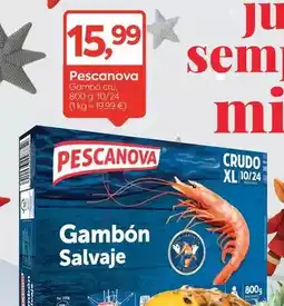 Suma Supermercados Pescanova - gambo cru oferta