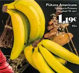 Gadis Platano americano oferta