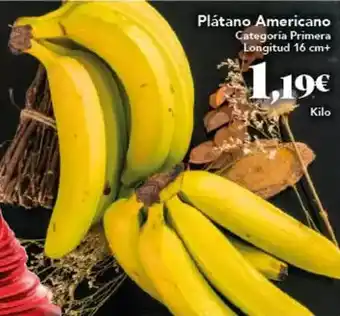 Gadis Platano americano oferta