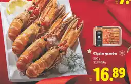 Lidl Cigalas grandes oferta