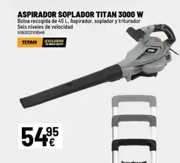 Brico Depôt TITAN Aspirador soplador titan 3000 w oferta