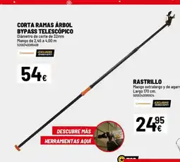 Brico Depôt Corta ramas árbol bypass telescópico oferta