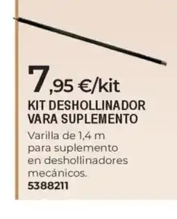 BigMat Kit deshollinador vara suplemento oferta